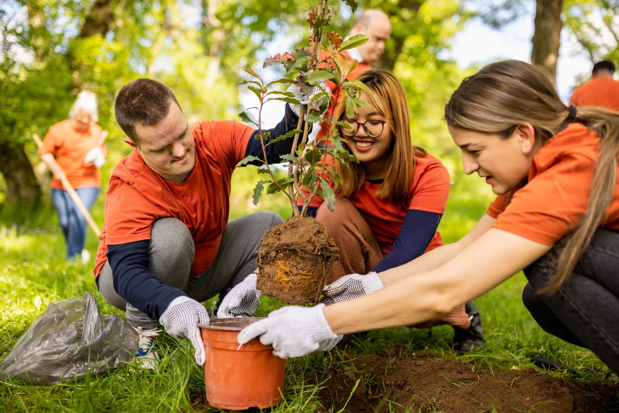 Community volunteers planting young trees together