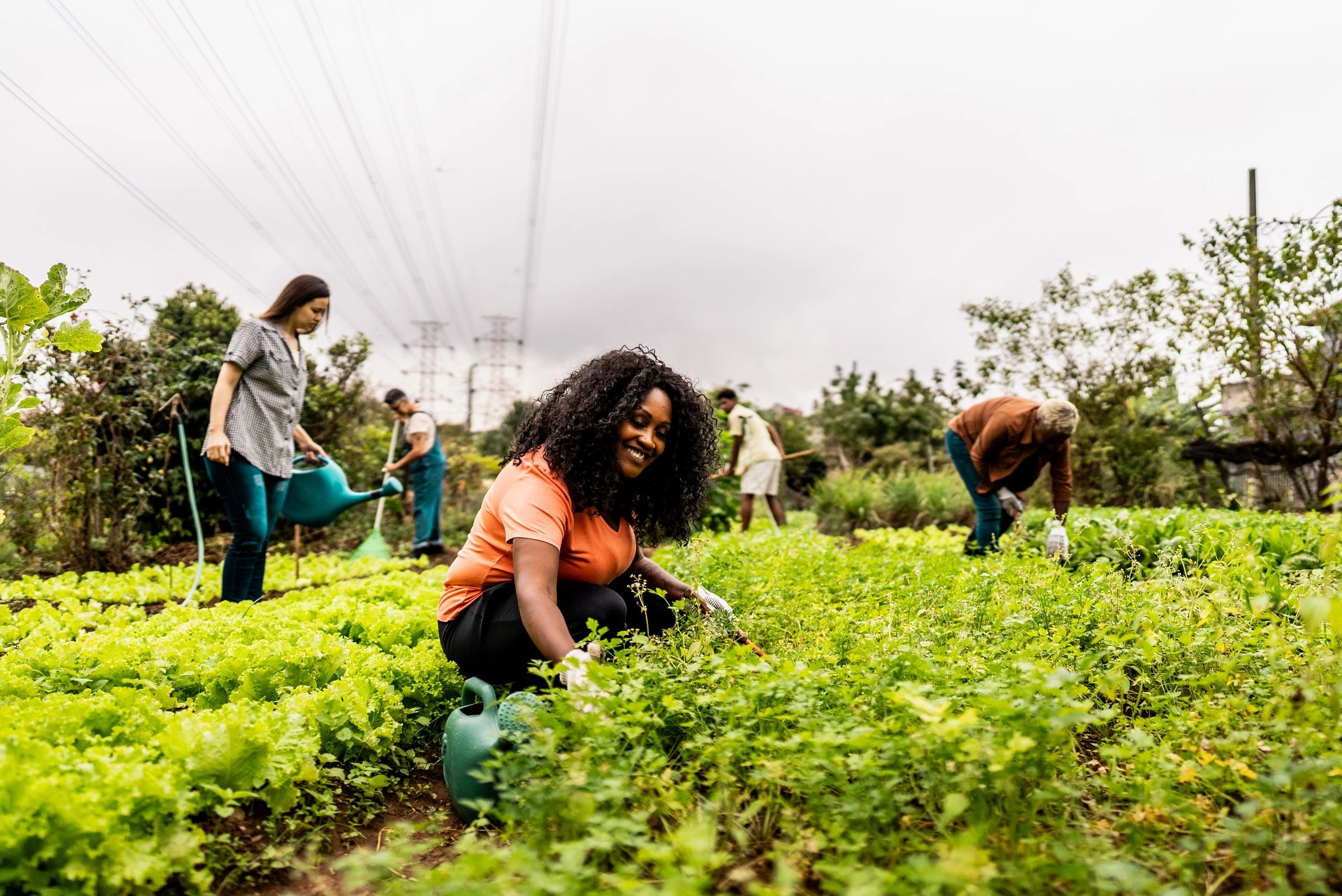Volunteer working in a community garden