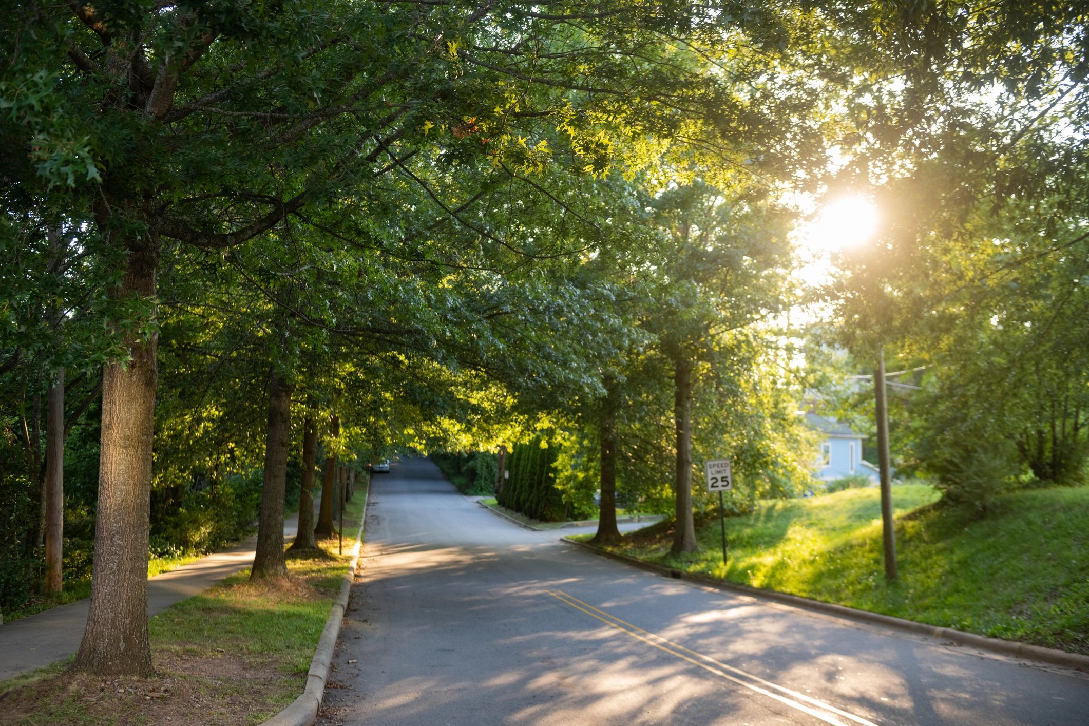 Sun shining over an empty tree-lined road